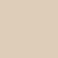 301 N Light Beige 