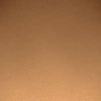 4C Tanned