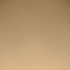 1C Warm Beige