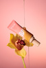 BB Cream with Hyaluronic Acid