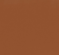 307W Walnut